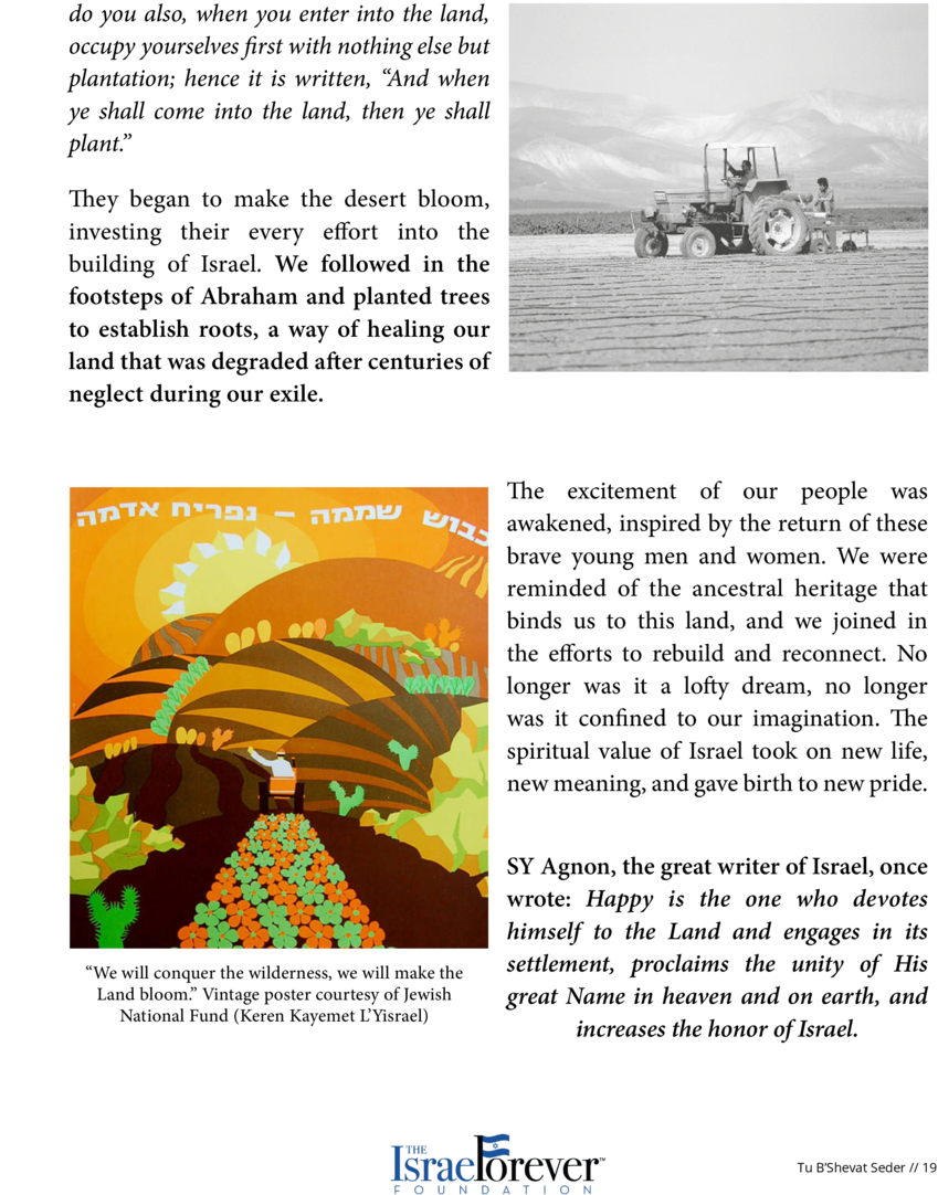 In The Midst Of Israel S Rainy Season, The Landscape - Kibbutz (900x1165), Png Download