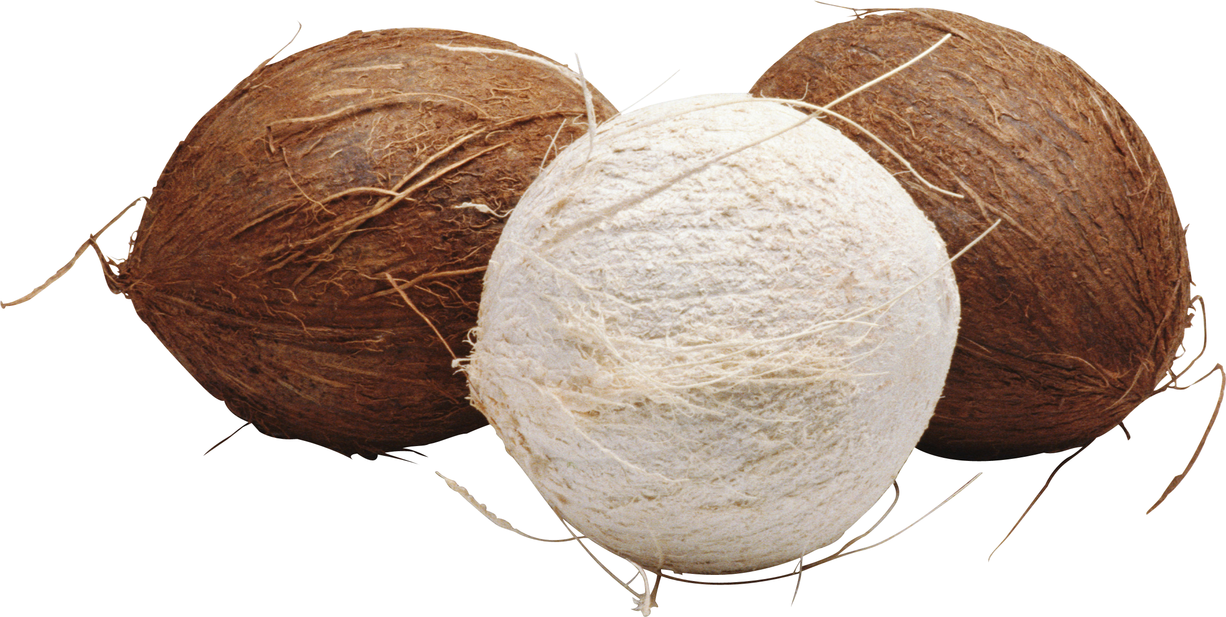 Coconut Icon Clipart - Coconut (2387x1202), Png Download