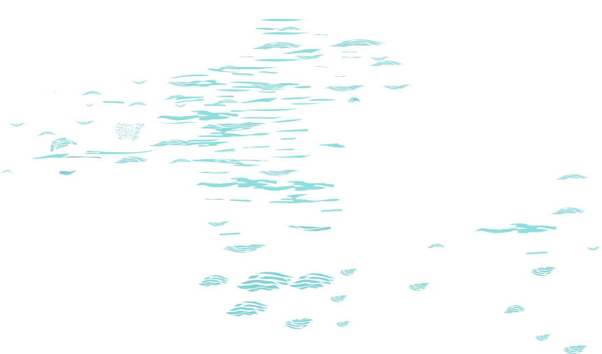 Dprk Tours - Calligraphy (1536x506), Png Download