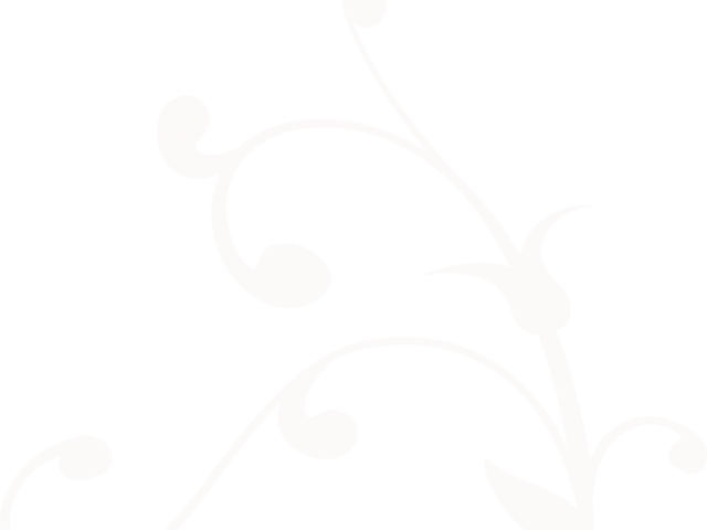 White Swirl Cliparts - Clip Art (640x480), Png Download