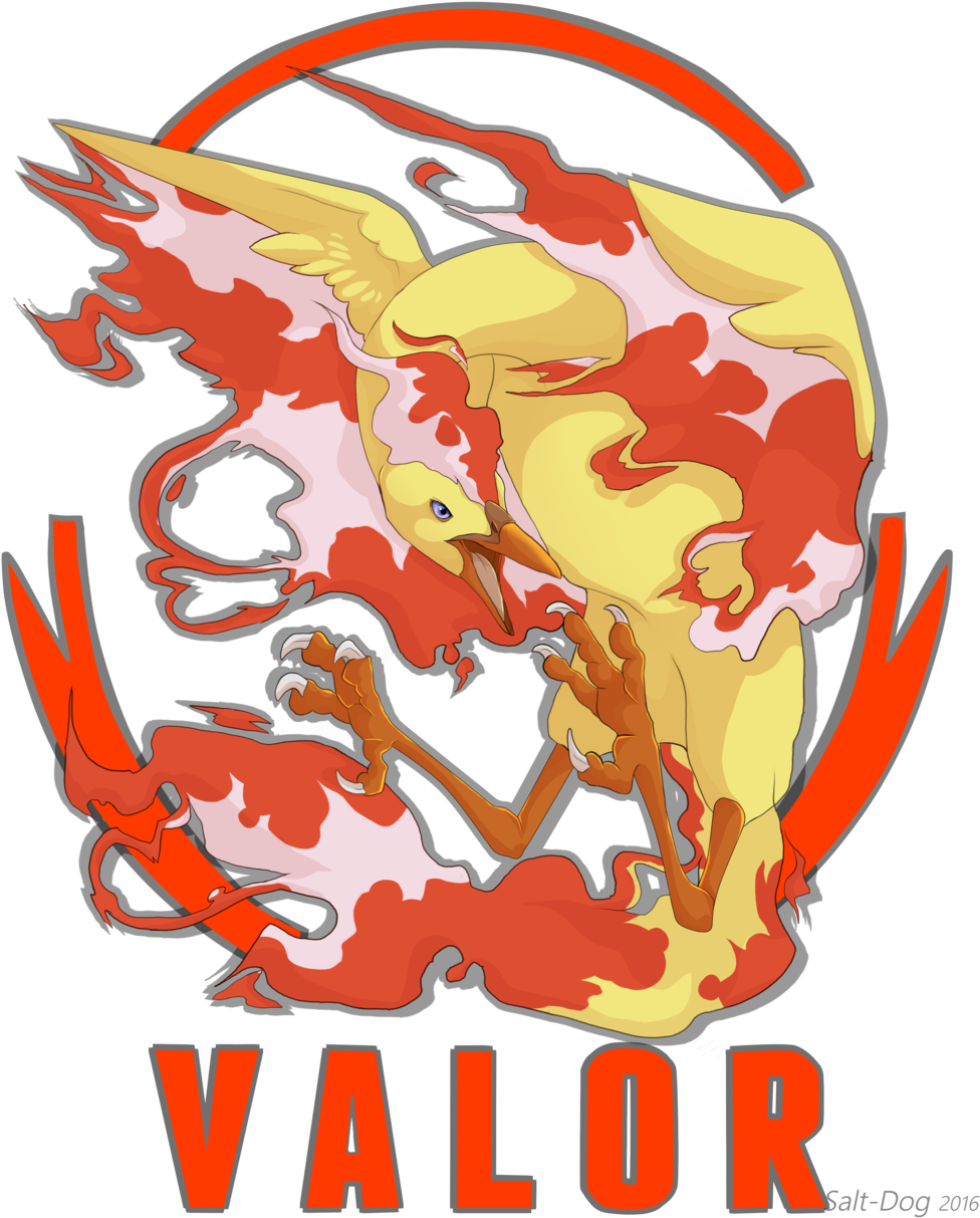 Team Valor Logo Png (1024x1229), Png Download