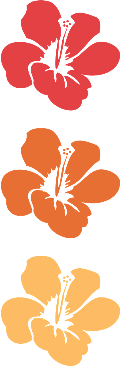 3drose Orange Hibiscus Flower - Hawaiian Floral - Tropical (640x1280), Png Download
