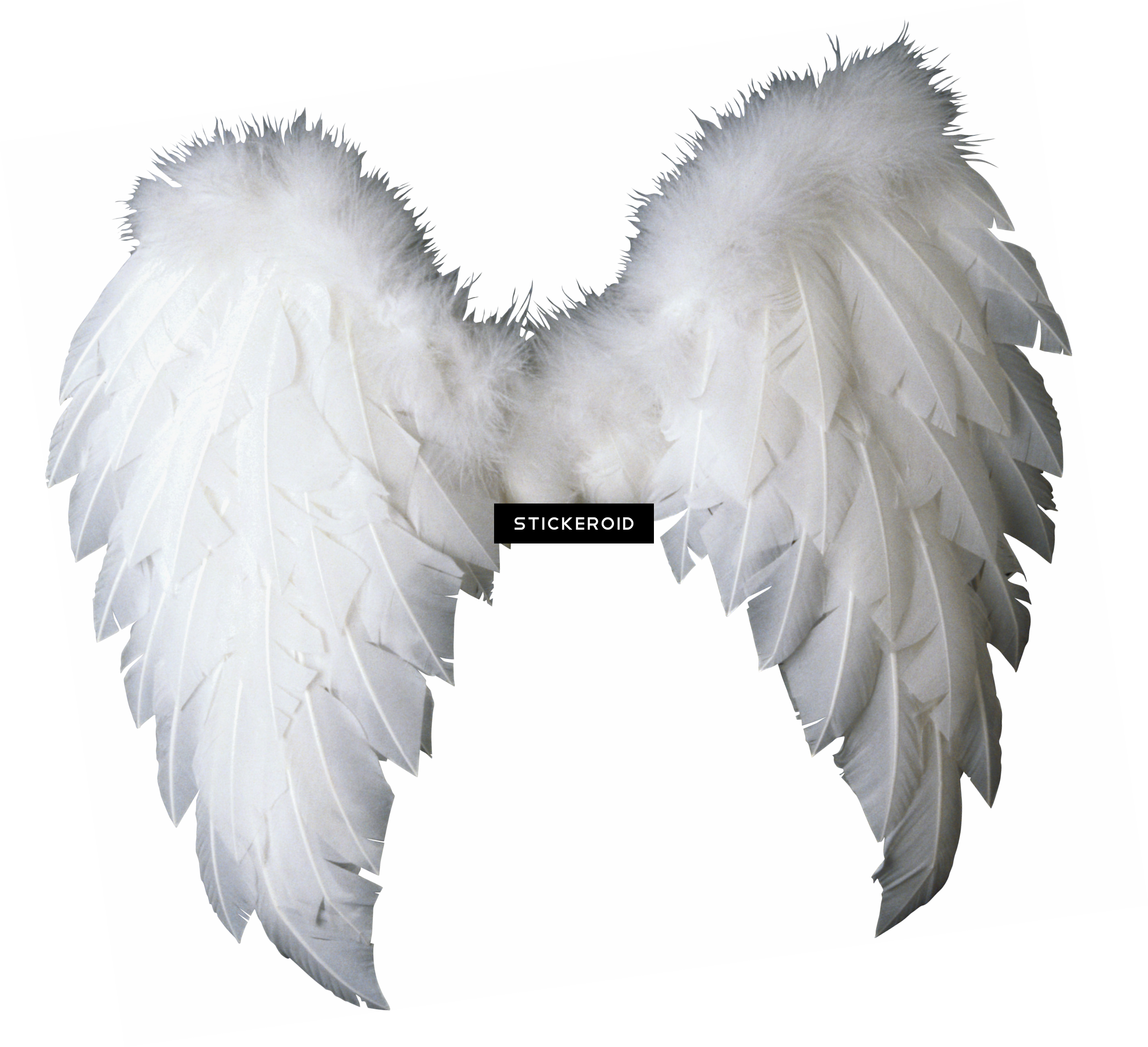 Wings - Baby Angel Wings Png (2586x2358), Png Download