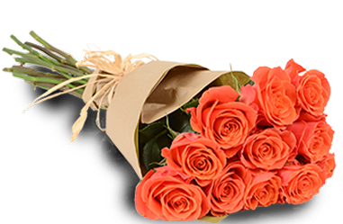 Orange Passion 1 Dozen - Garden Roses (382x382), Png Download