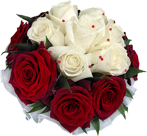 Download Vector Royalty Free Download Bouquet Transparent Rose ...