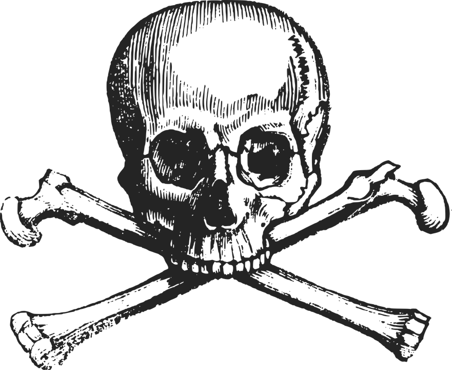 Crossbones, Skull, Death, Danger, Symbol, Dead, Pirate - Skulls And Bones Png (881x720), Png Download