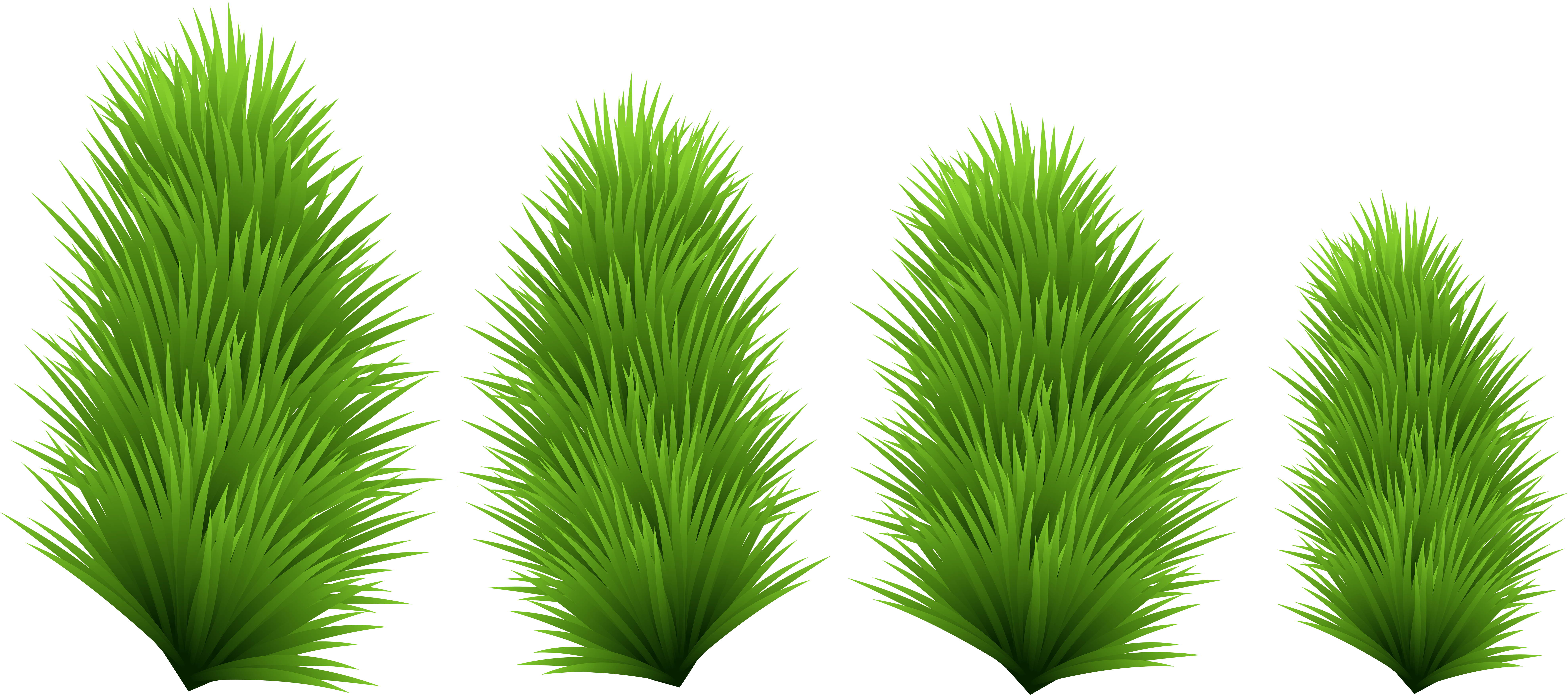 Tree Branches Png (8000x3595), Png Download