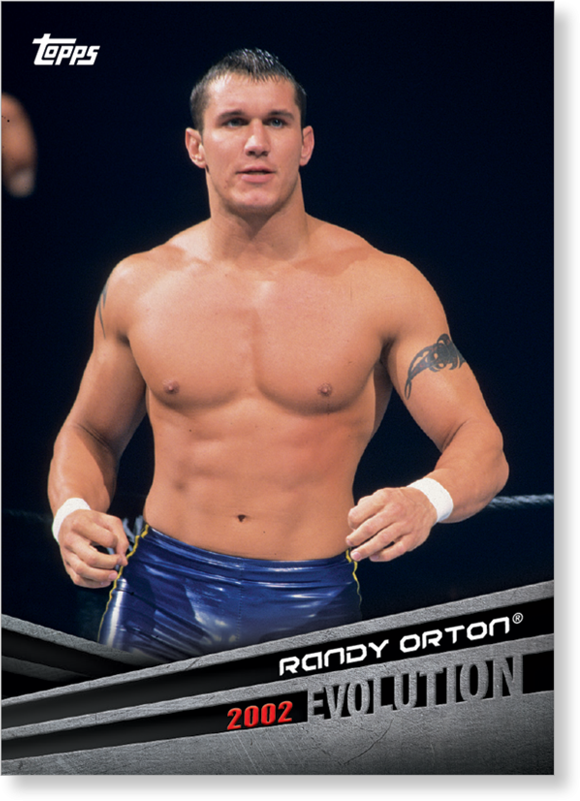 Randy Orton Png (2000x2000), Png Download