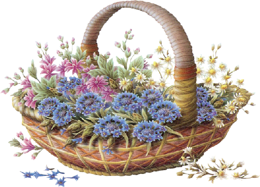 Album - Lavender Flower Basket Clipart (537x387), Png Download
