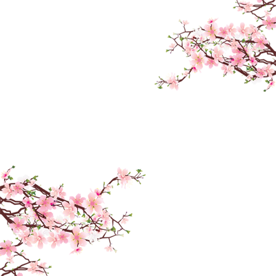 Nice And Cute Sakura Blossom Tree - Clip Art Of Cherry Blossoms (400x400), Png Download
