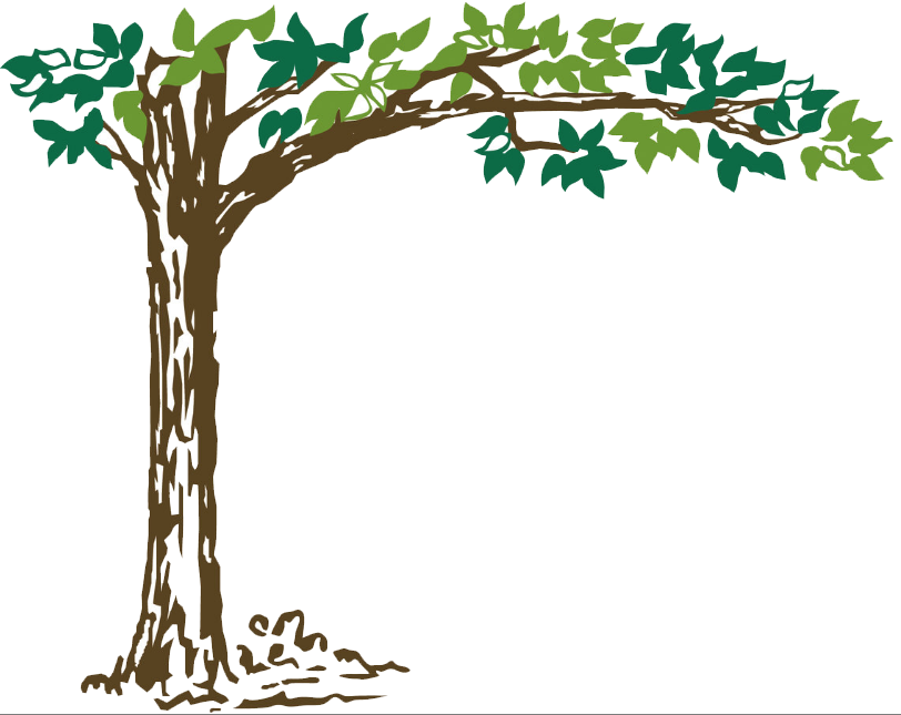 Trees In Plan Png (812x645), Png Download