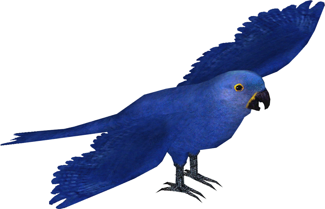 Hyacinth Macaw - Wiki (1111x1111), Png Download