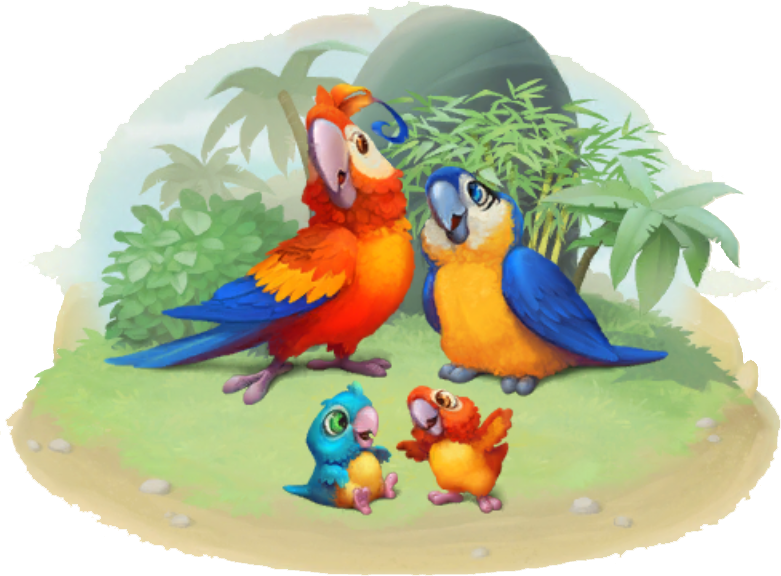 Macaw Family - Macaw (781x576), Png Download