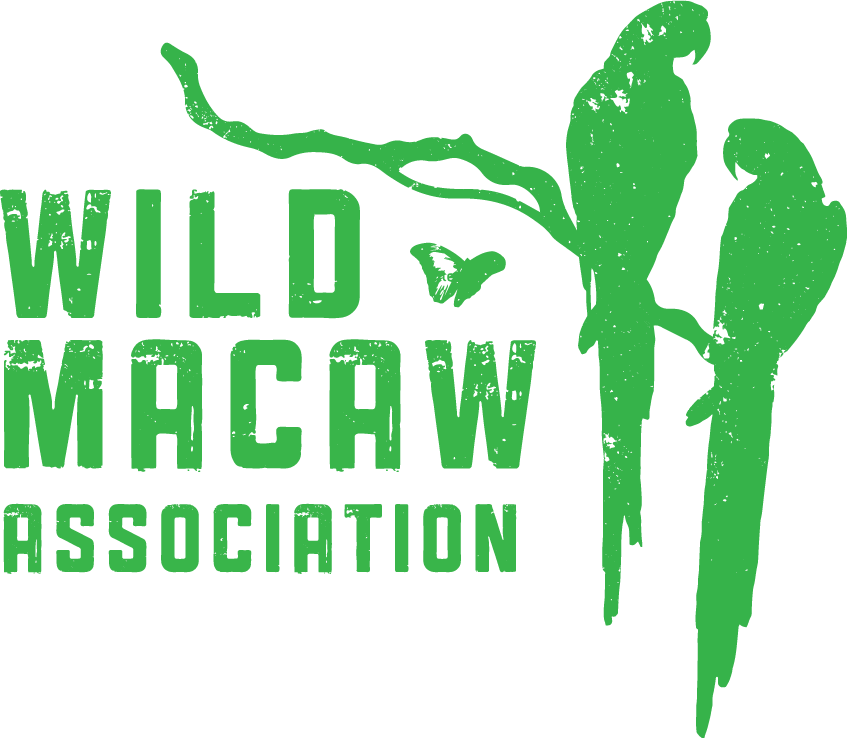 Wild Macaw Association Wild Macaw Association - Macaw (847x738), Png Download