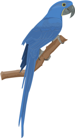 Macaw Clipart Hyacinth Macaw - Hyacinth Macaw Vector (600x520), Png Download