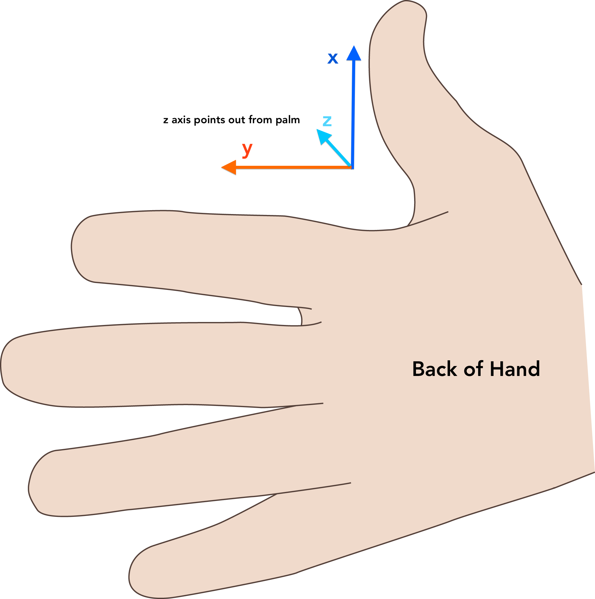 Thumb Orientation - Finger (1987x1998), Png Download