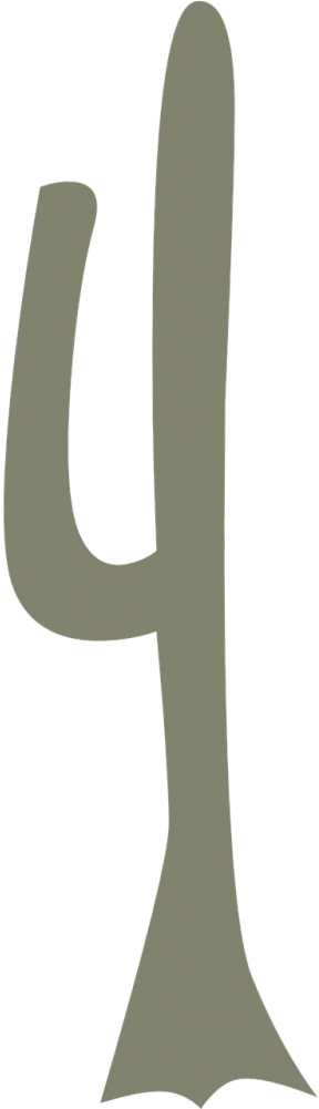 Mexican Cactus Png (500x1000), Png Download