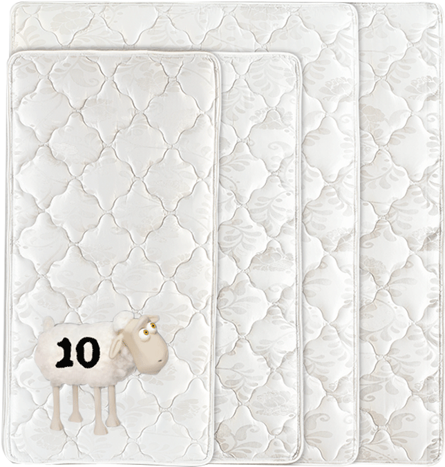 Select Your Size & - Wallet (960x699), Png Download