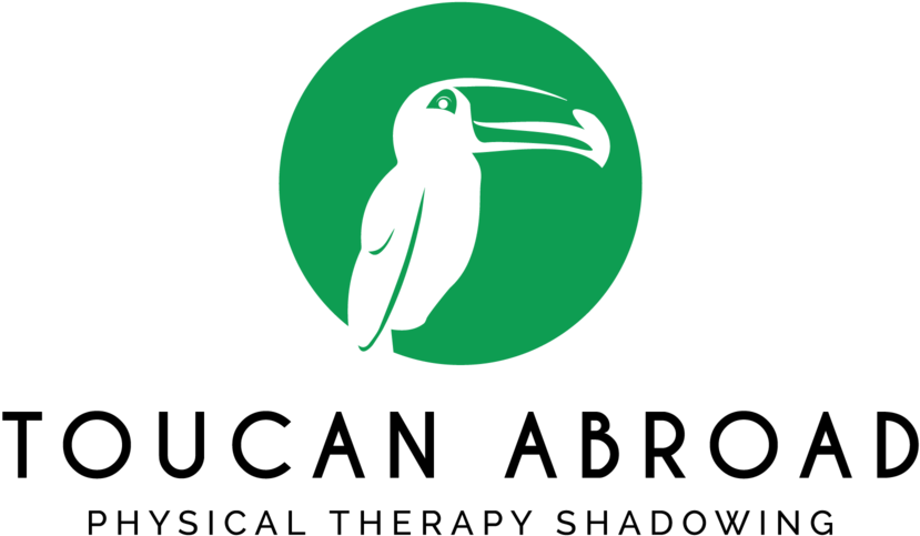 Toucan Png (1000x1000), Png Download