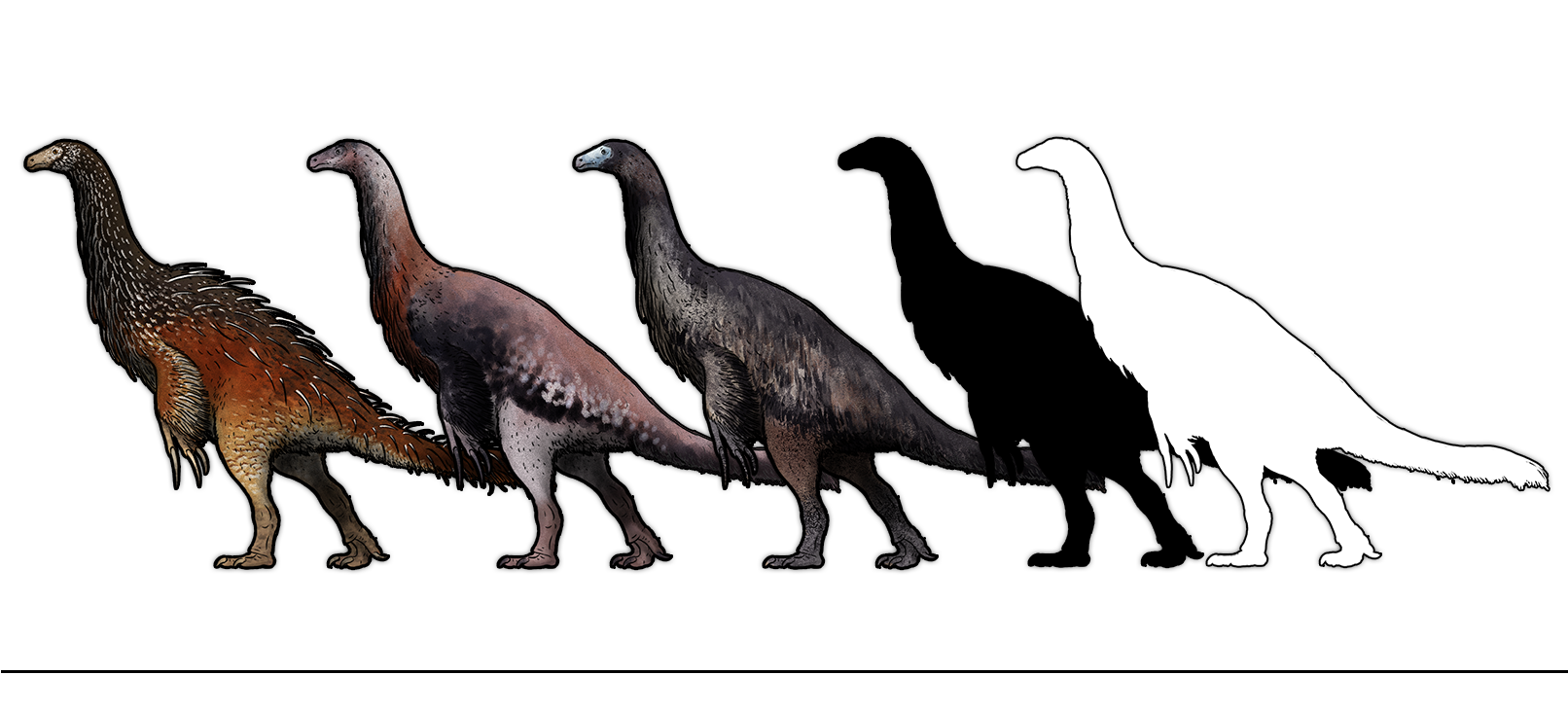 Some Animals, Such As Triceratops And Tyrannosaurus, - Skin (1611x780), Png Download