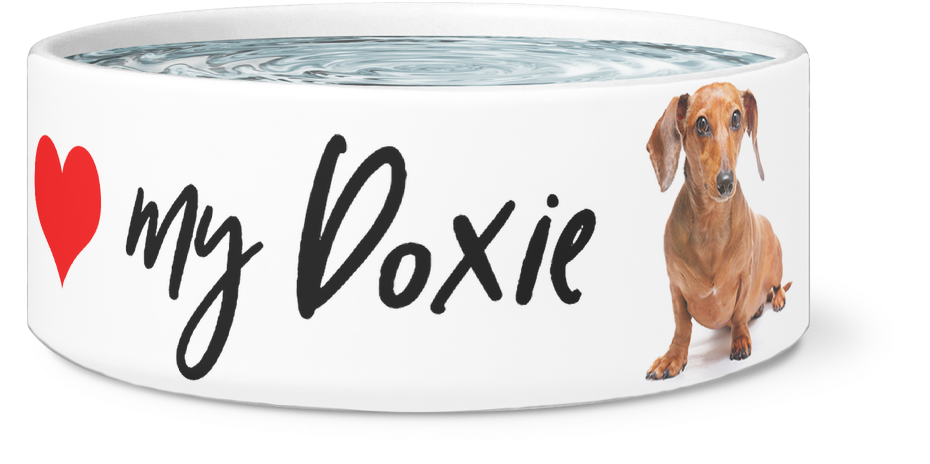 Large Dog Bowl, Love My Doxie Designer Dog Bowls - Dog (1024x1024), Png Download