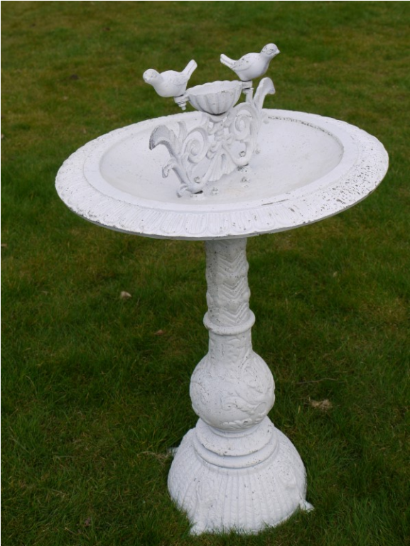 Bird Bath Png (1152x768), Png Download