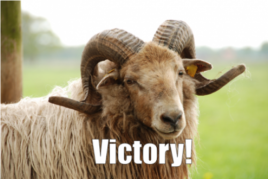 Uefa Agrees That Animal Slaughter Has No Place In Football - Animal Slaughter (870x362), Png Download
