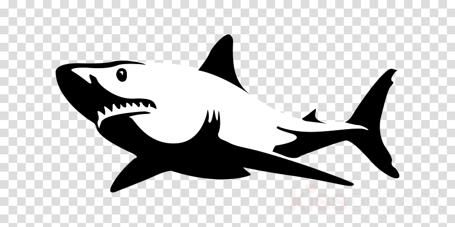 Great White Shark Black And White Clipart (900x450), Png Download