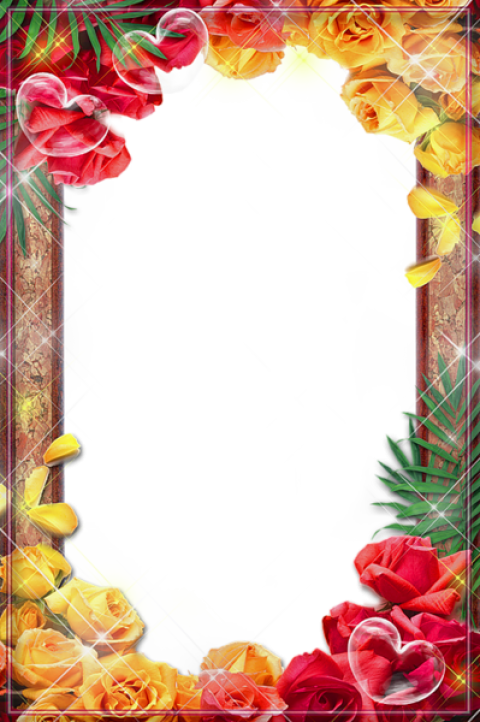 Free Png Frame With Roses Png Images Transparent - Download Frame With Flower (480x722), Png Download