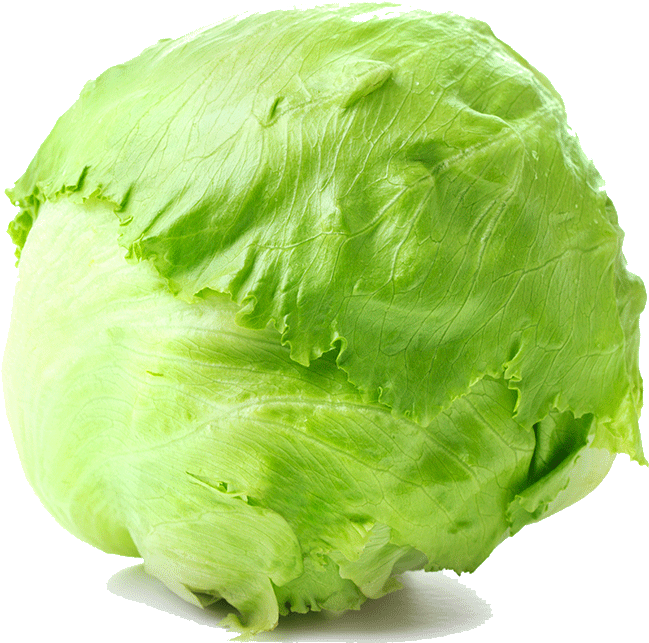 ‹ › - Round Lettuce (847x1000), Png Download
