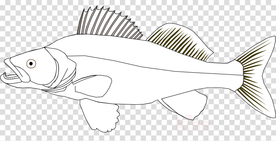 Zander Clipart Fish Northern Pike Clip Art - Whatsapp Sticker (900x460), Png Download