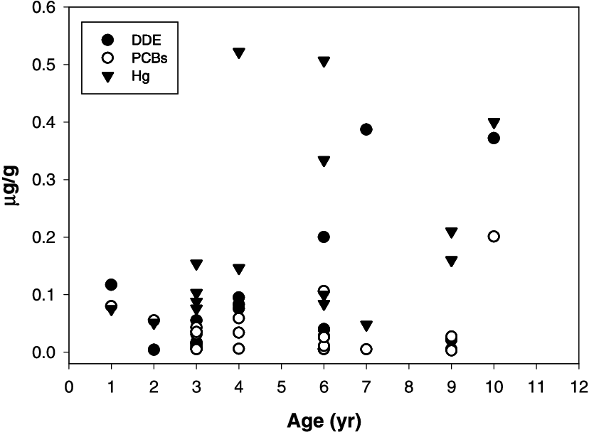 Dde, Pcbs, And Hg Relationships With Ocelots' Age - Weight (828x608), Png Download