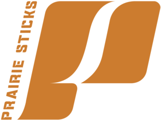 Bat Logo Png (1000x600), Png Download