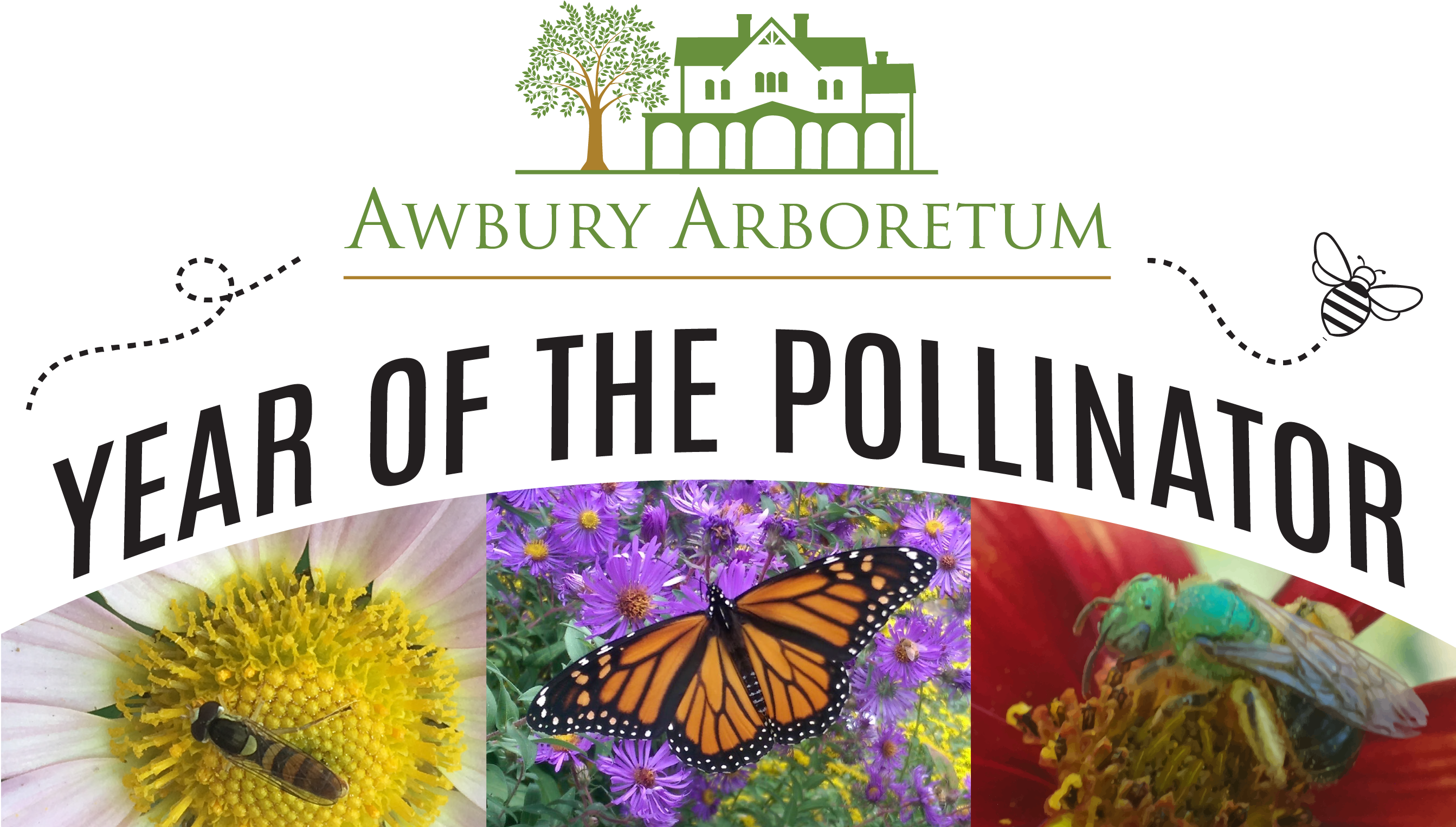 Year Of The Pollinator Series - Television Show (2688x1604), Png Download