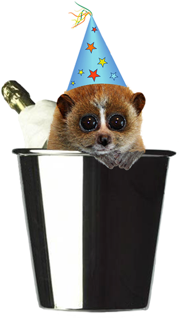 New Year Party Hat Png, Best - Animals In Party Hats Png (386x644), Png Download
