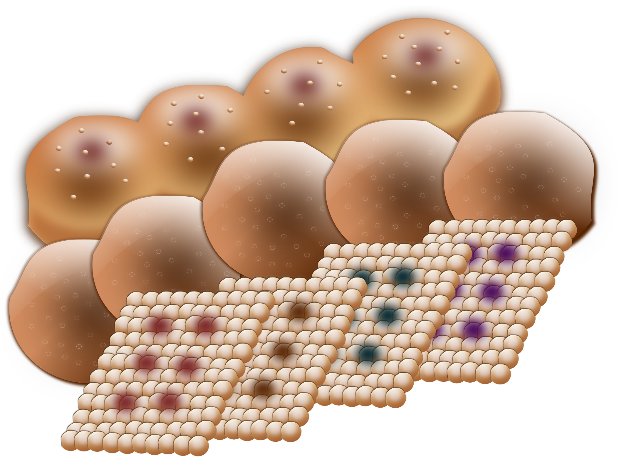 This Free Icons Png Design Of Baked Sweets (2400x1697), Png Download