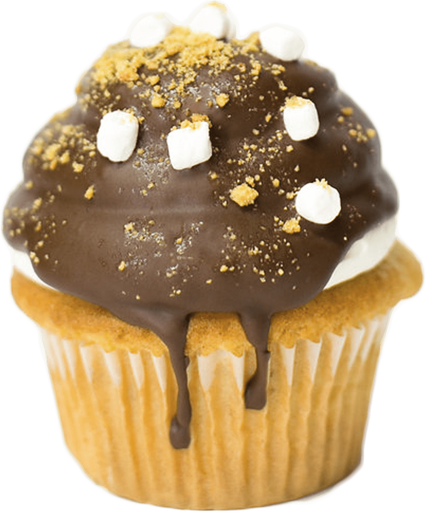 S'mores Cupcake - Cupcake (2136x2088), Png Download