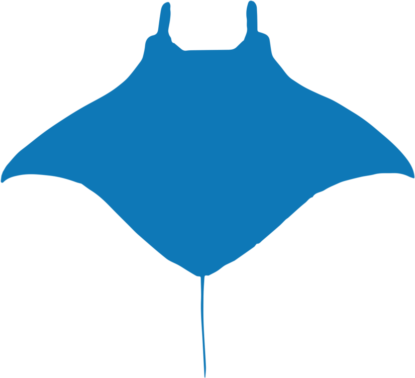 Key Achievements Icons Blue Manta - Icon (1000x1000), Png Download