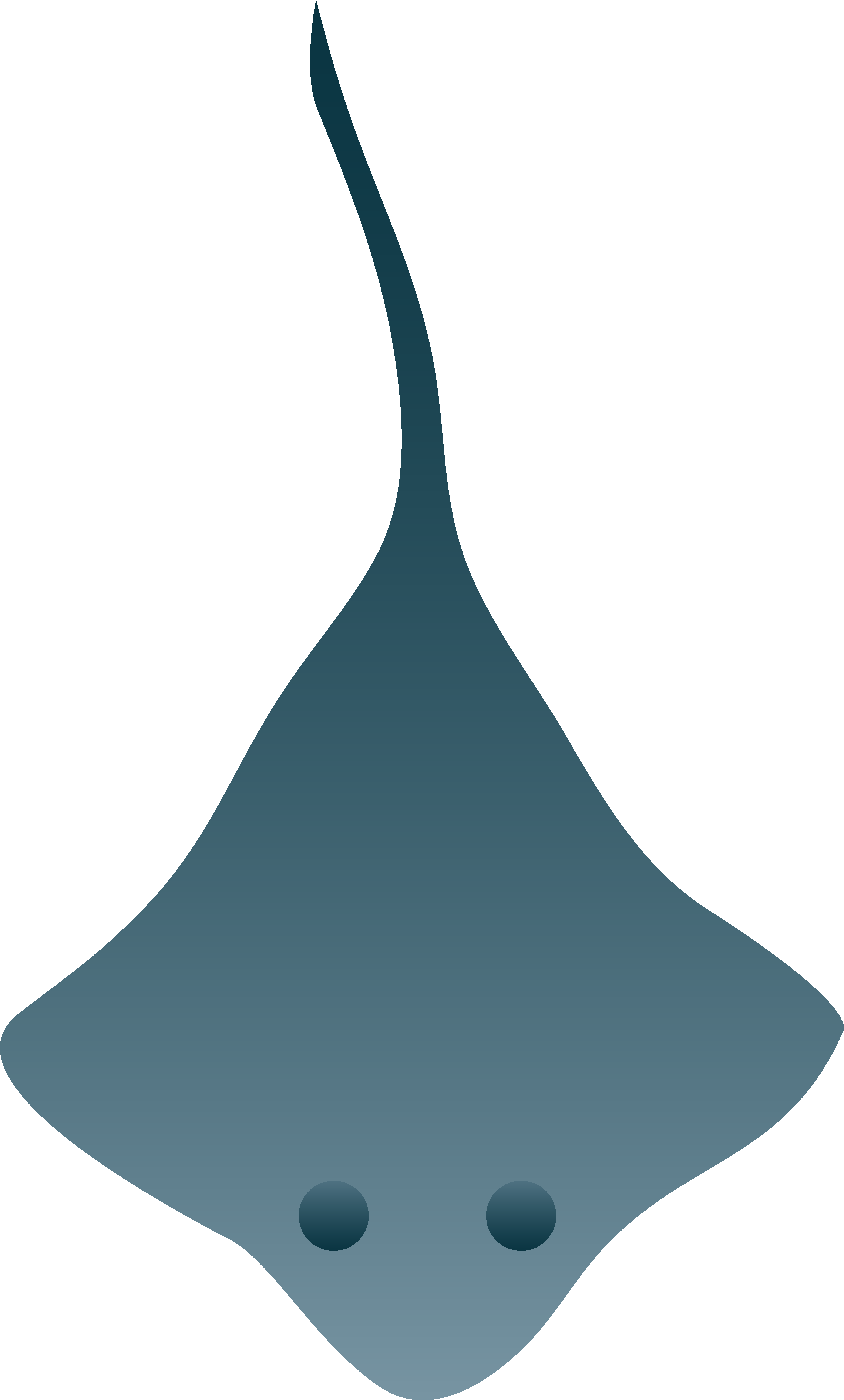 Stingray Clip Art - Clipart Sting Ray (3969x6583), Png Download