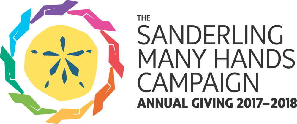 Annual Giving 2017 B Logo - Annual Giving (1000x418), Png Download