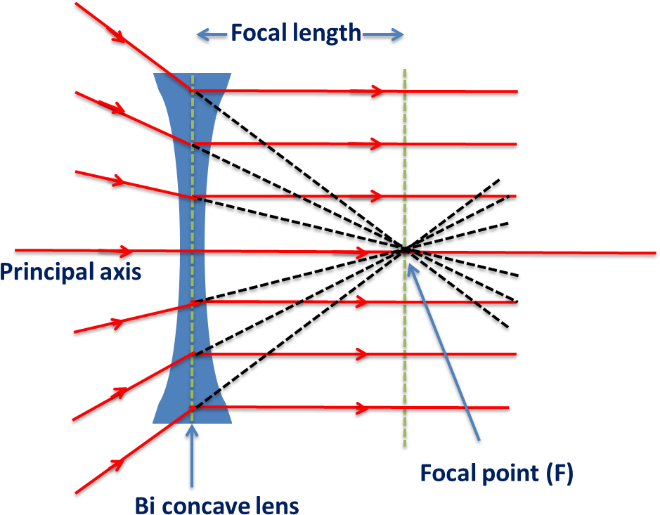 Biconcave Lens -behaviour Of Rays Passes Through Focal - Biconcave Linse (966x766), Png Download