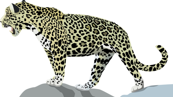 Jaguar Wildcat Felidae Animal - Cartoon Jaguar (604x340), Png Download