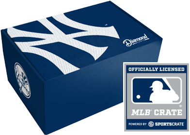 New York Yankees Logo Png - Sports (500x280), Png Download