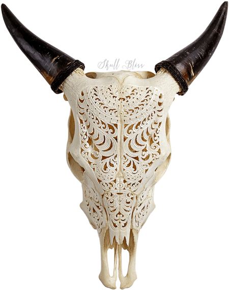 Carved Cow Skull - Cow Skull (600x600), Png Download