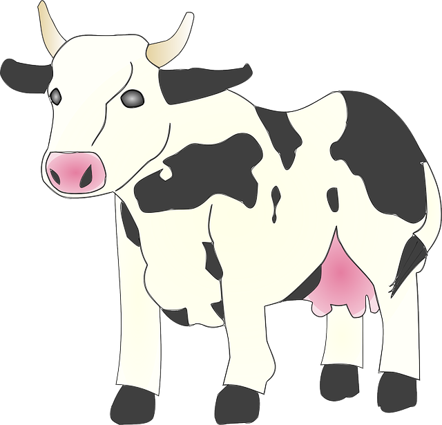 Clipart Info - Cow Clip Art (600x577), Png Download