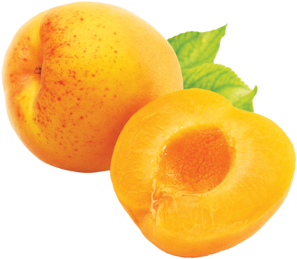 Apricot Png (1024x1024), Png Download