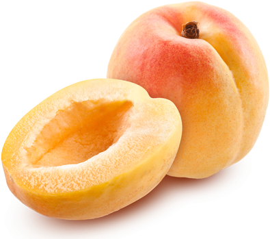 Apricot Png (510x510), Png Download