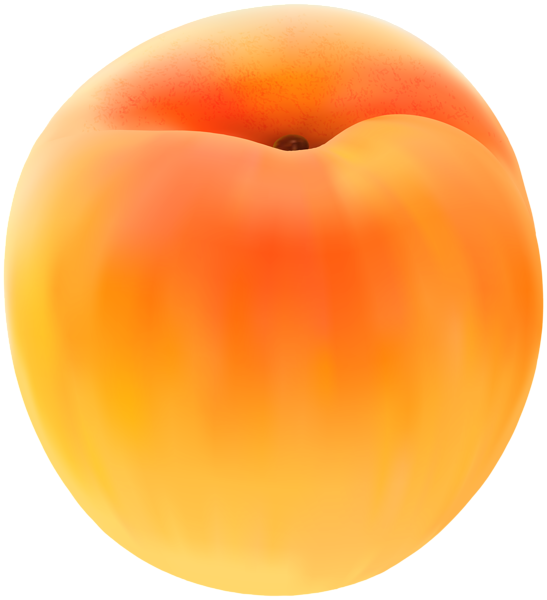 Apricot Free Png Clip Art Image - Apricot Clipart (547x600), Png Download