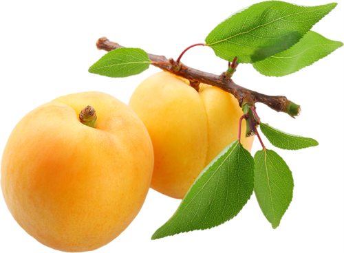 Chef Masterpiece Herbs Flavor Snack Specialty Fruit (500x368), Png Download