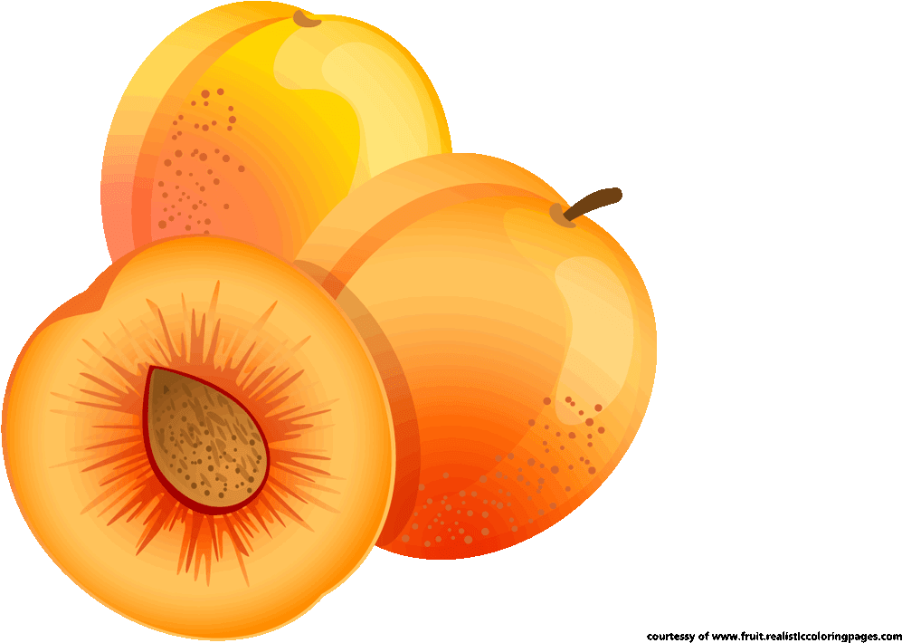 Apricot Clipart (1280x720), Png Download